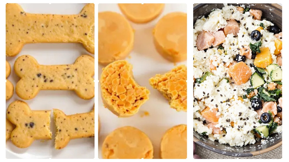 5 High-Calcium Dog Food Recipes for Bone Health