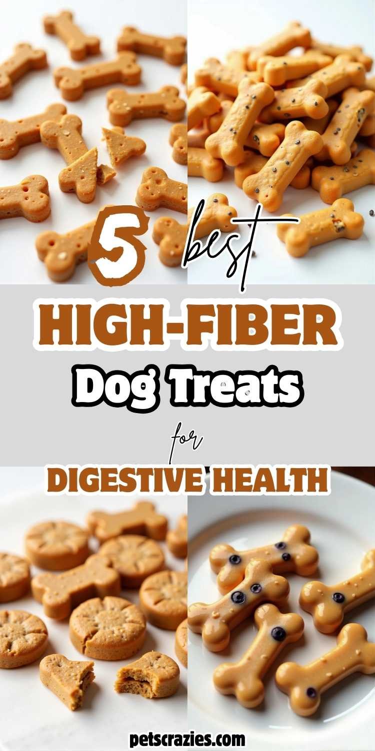 5 High-Fiber Dog Treats for Digestive Health