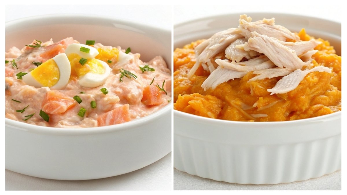 5 Tasty Homemade Cat Food Recipes for Weight Gain: Nutrient-Dense Recipes for Underweight Cats 1 Homemade Cat Food Recipes for Weight Gain