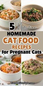 5 Nutritious Homemade Cat Food Recipes for Pregnant Cats