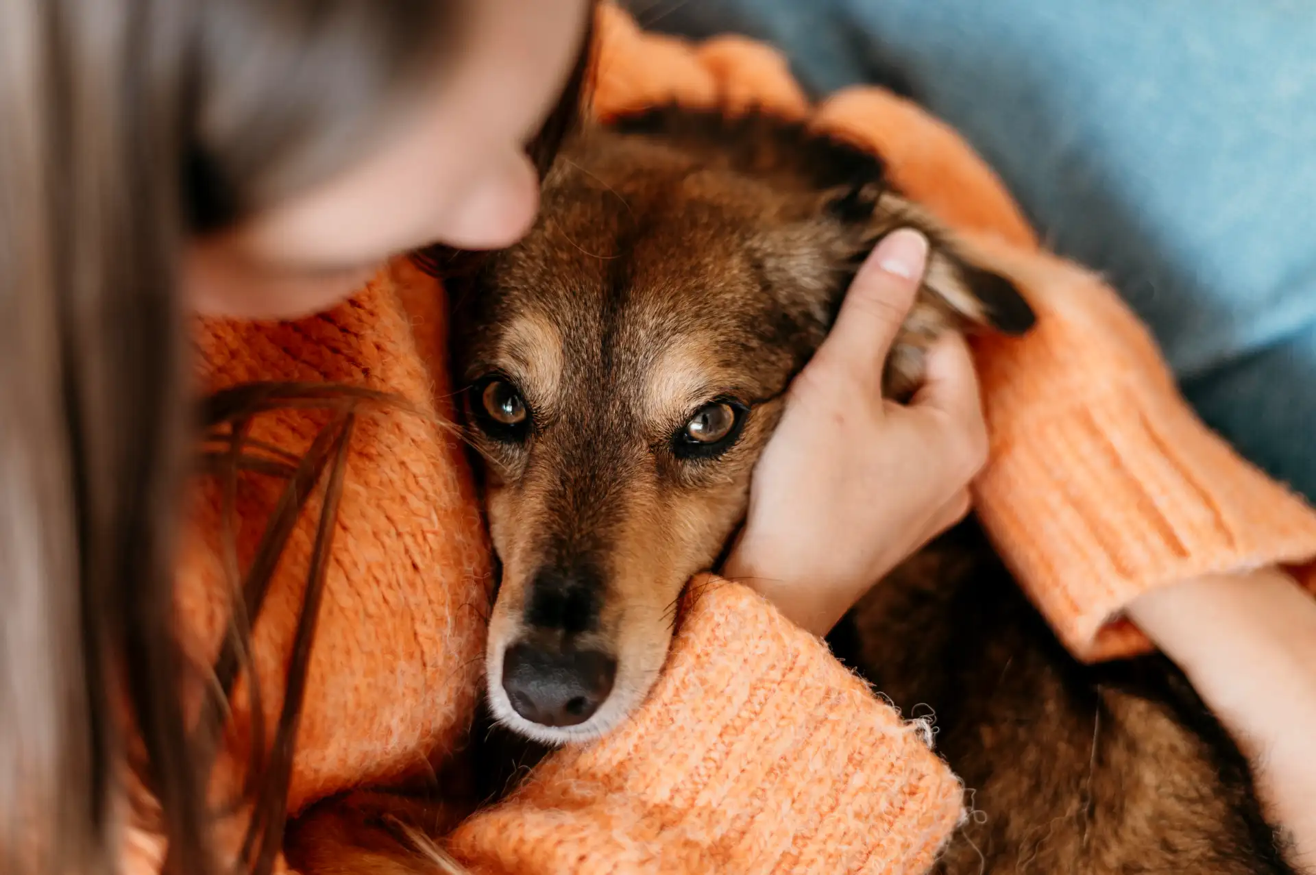 Dog shows the whites of his eyes during a hug
