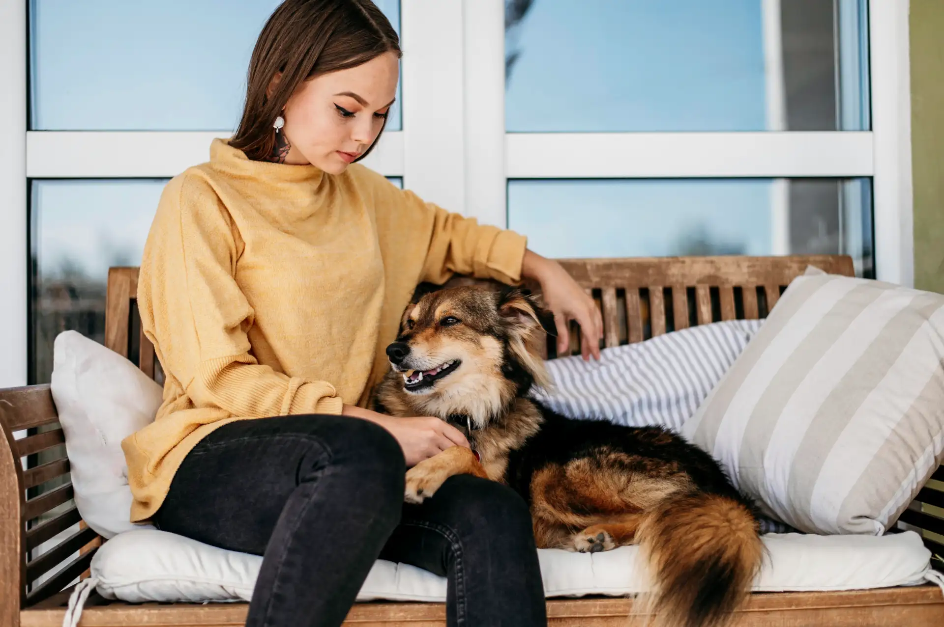Dogs learn to tolerate but still feel stressed inside