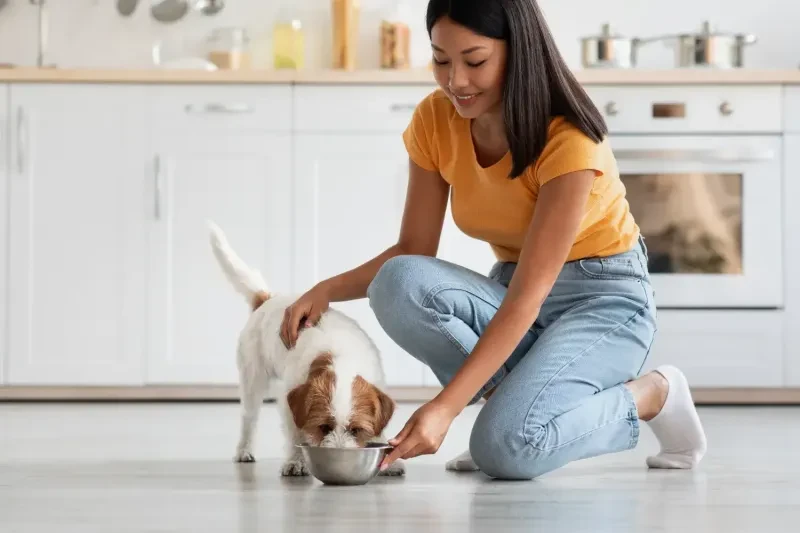 Health Conditions Require Quality Food