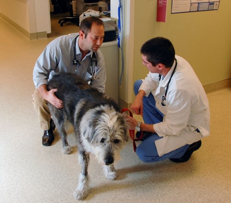 How Coverage Actually Works