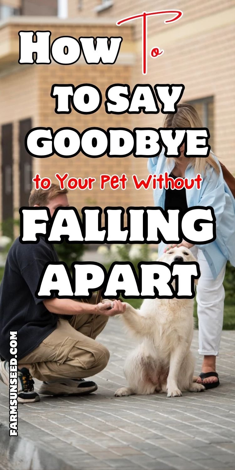 How to Say Goodbye to Your Pet Without Falling Apart