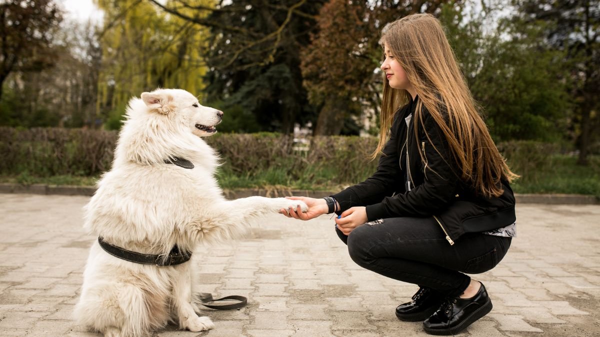How to Say Goodbye to Your Pet Without Falling Apart