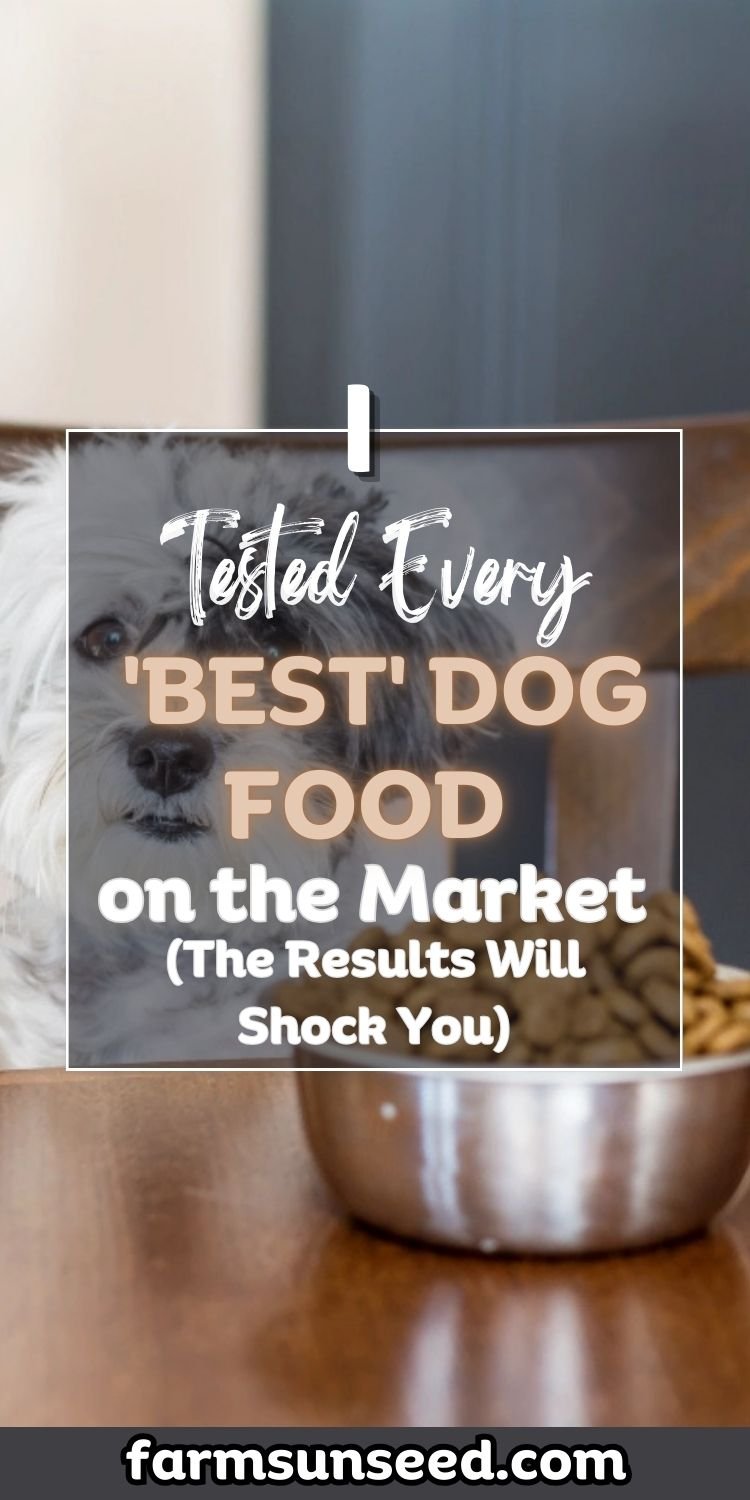 I Tested Every 'Best' Dog Food on the Market - The Results Will Shock You