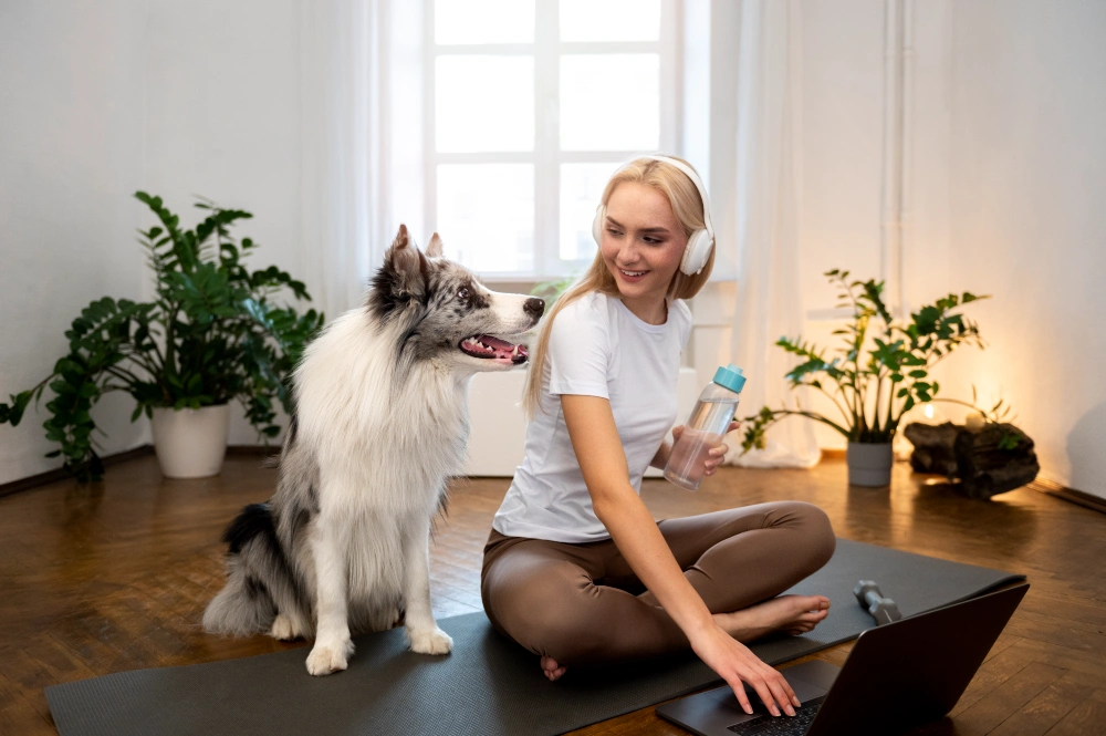 Your Dog Needs More Exercise Than You Have Time For - Here's the Fix 4 Mental Exercise Counts Just as Much