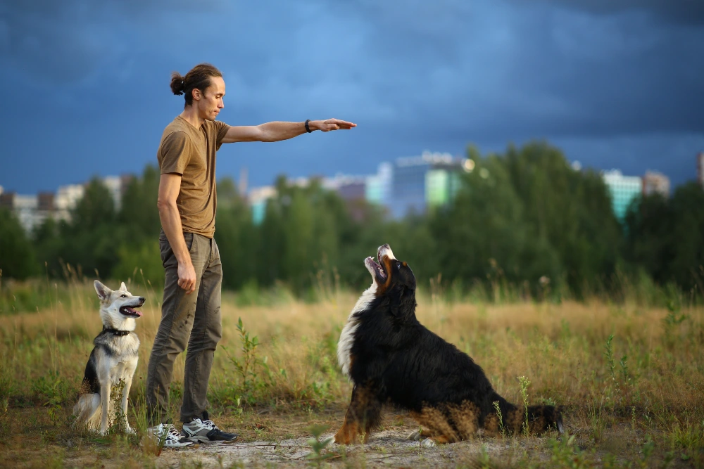 Mistake #3—You Haven't Trained in Different Environments