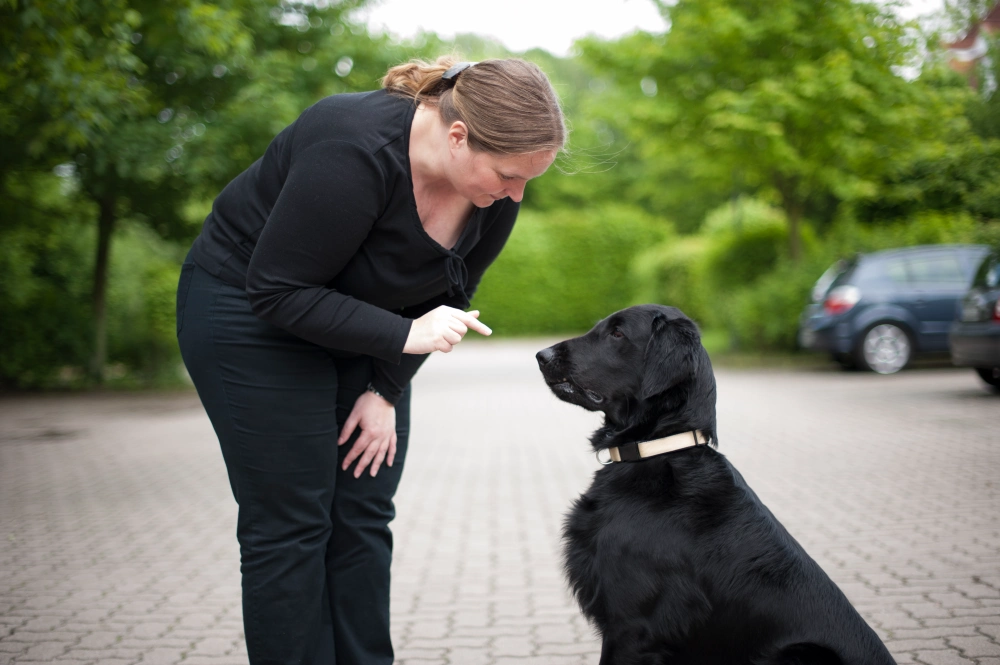 Mistake #7—You Train When You're Frustrated