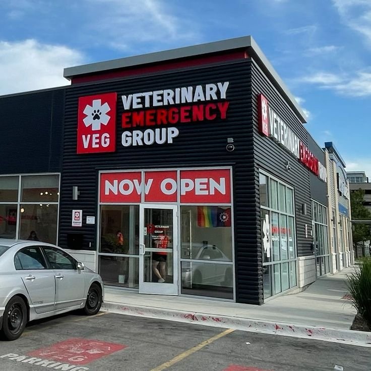 No Safety Net for Costs