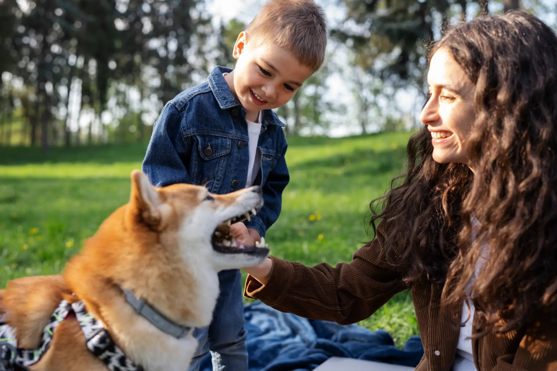 Pet parenting confidence comes from understanding that good enough really is good enough.