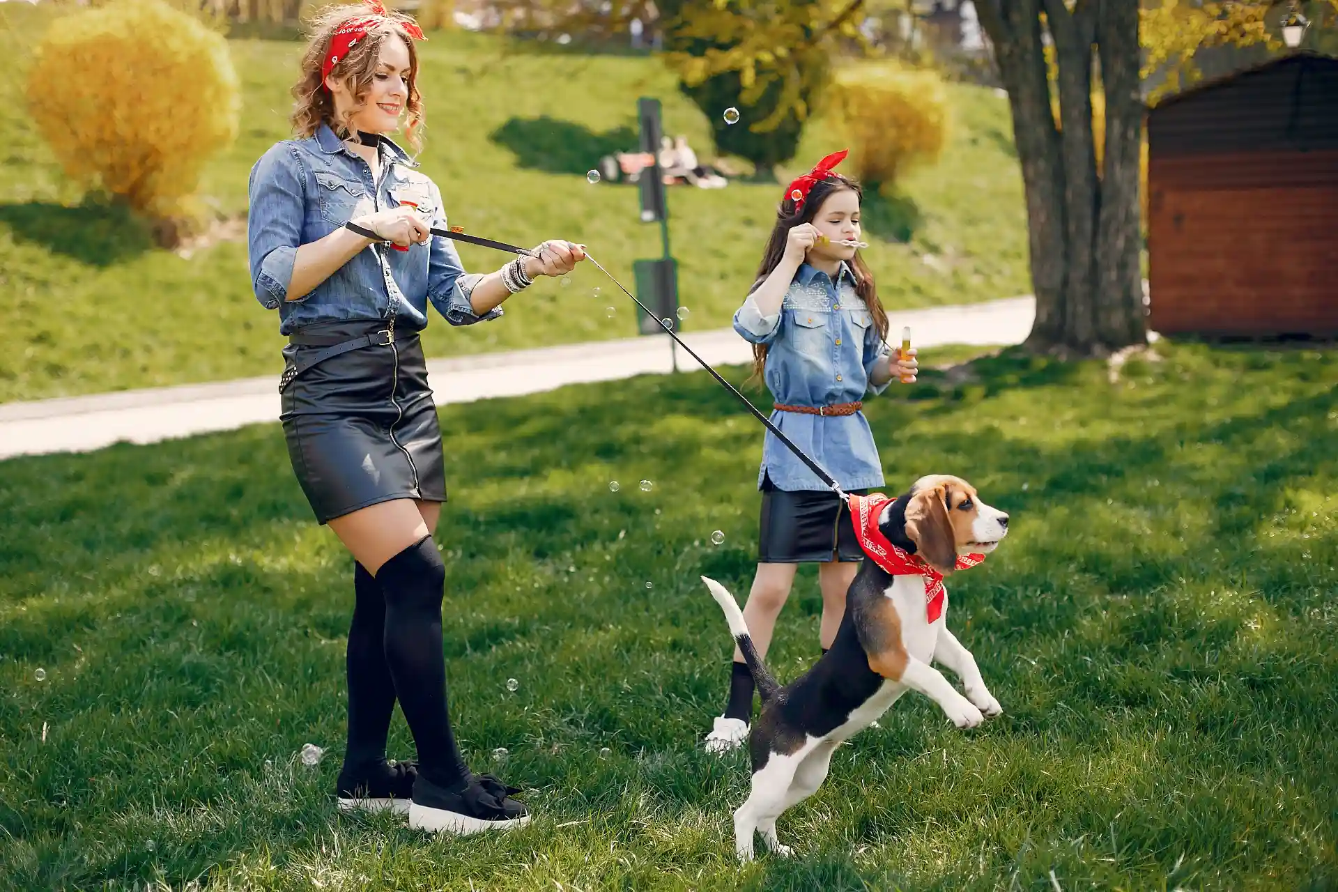 Play and Exercise Together