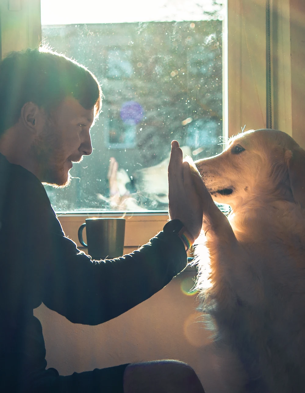 Preparing Emotionally for the Goodbye