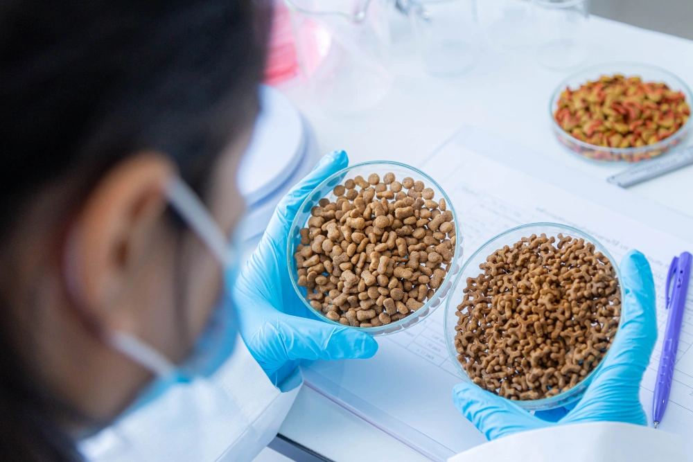 Product Selection and Testing Scope