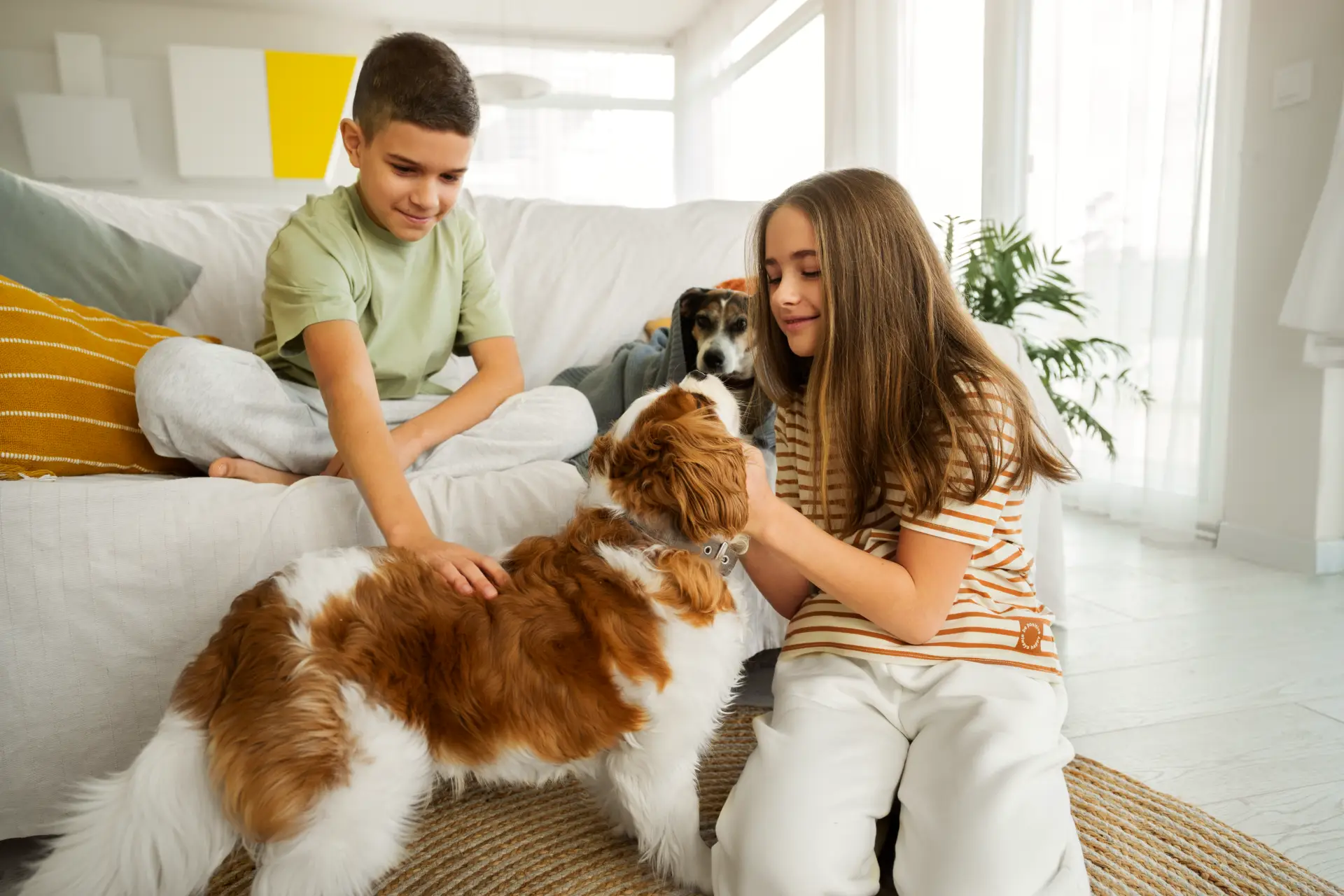Real Cost of Perfect Pet Parenting