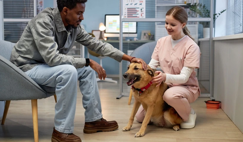 Spend money on preventive veterinary care