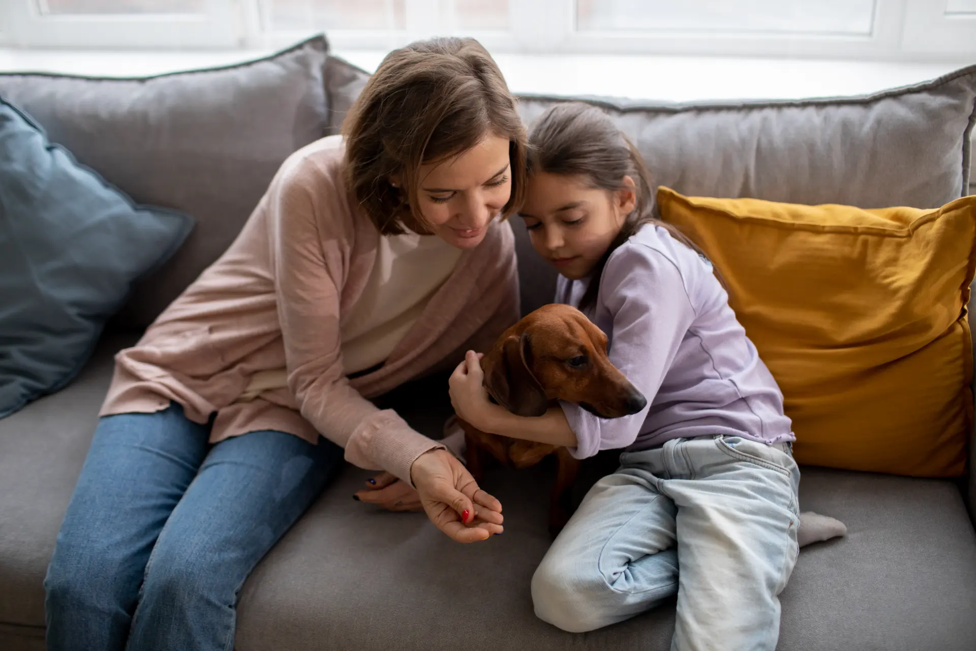 The Guilt-Free Guide to Ignoring Pet Parenting Pressure