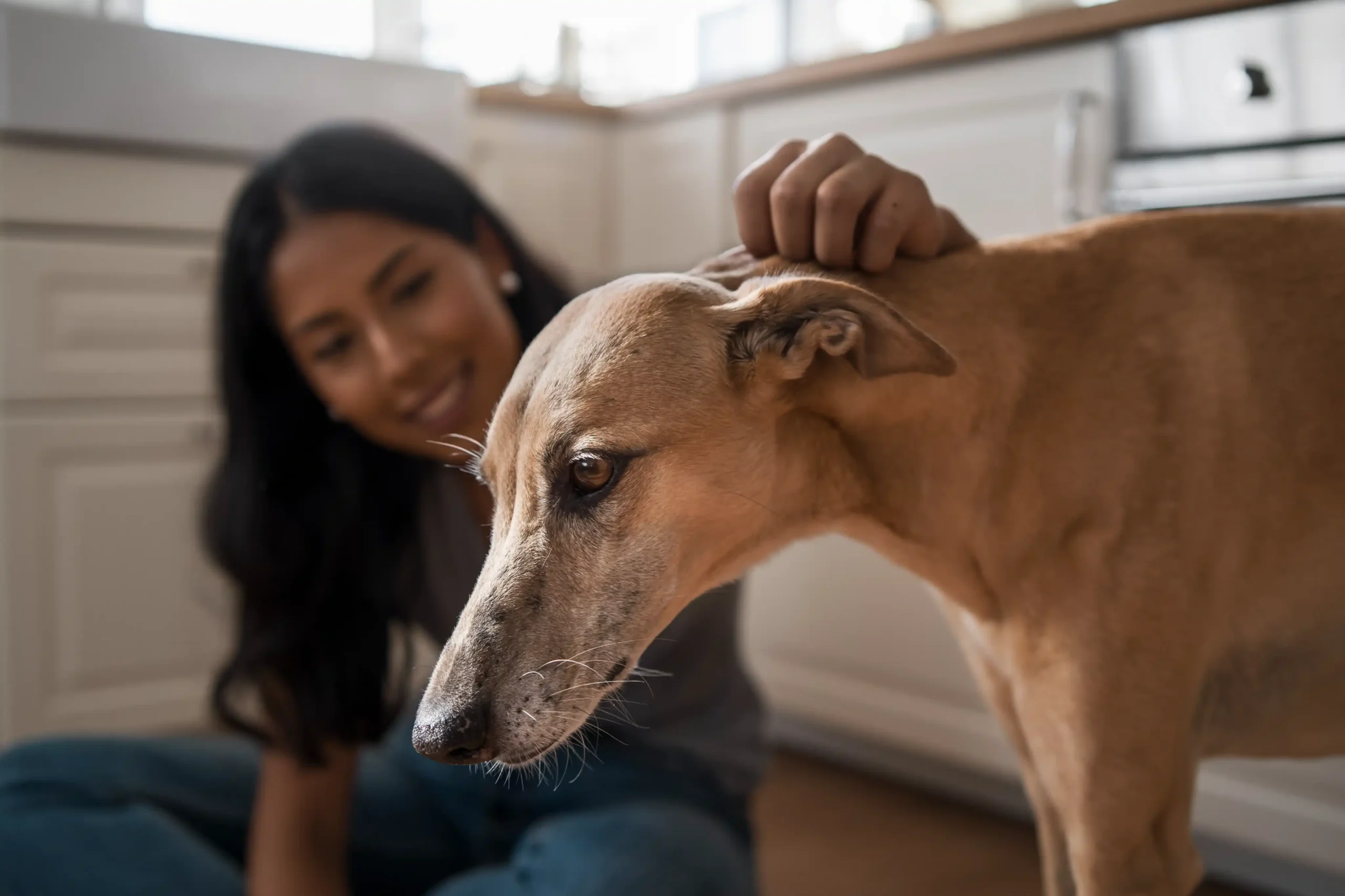 Turning Head Away And Avoiding Eye Contact