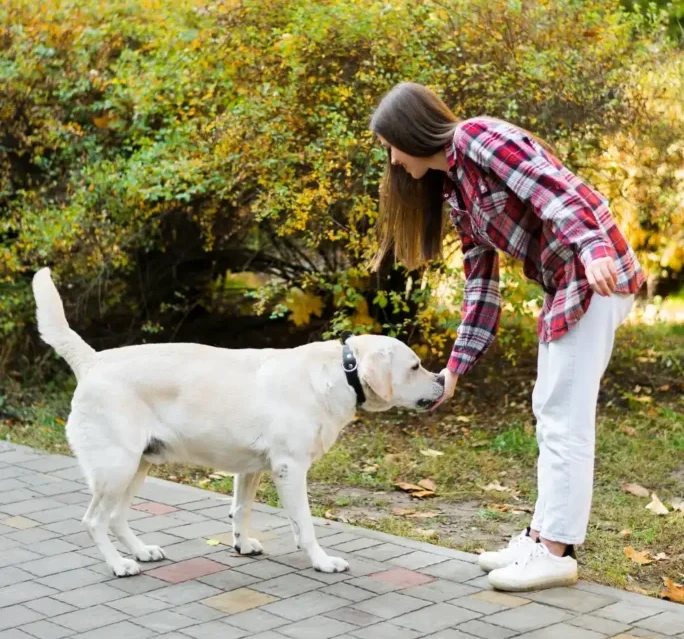 Your Dog Needs More Exercise Than You Have Time For - Here's the Fix 14 When Does Hiring a Dog Walker Make Sense 1