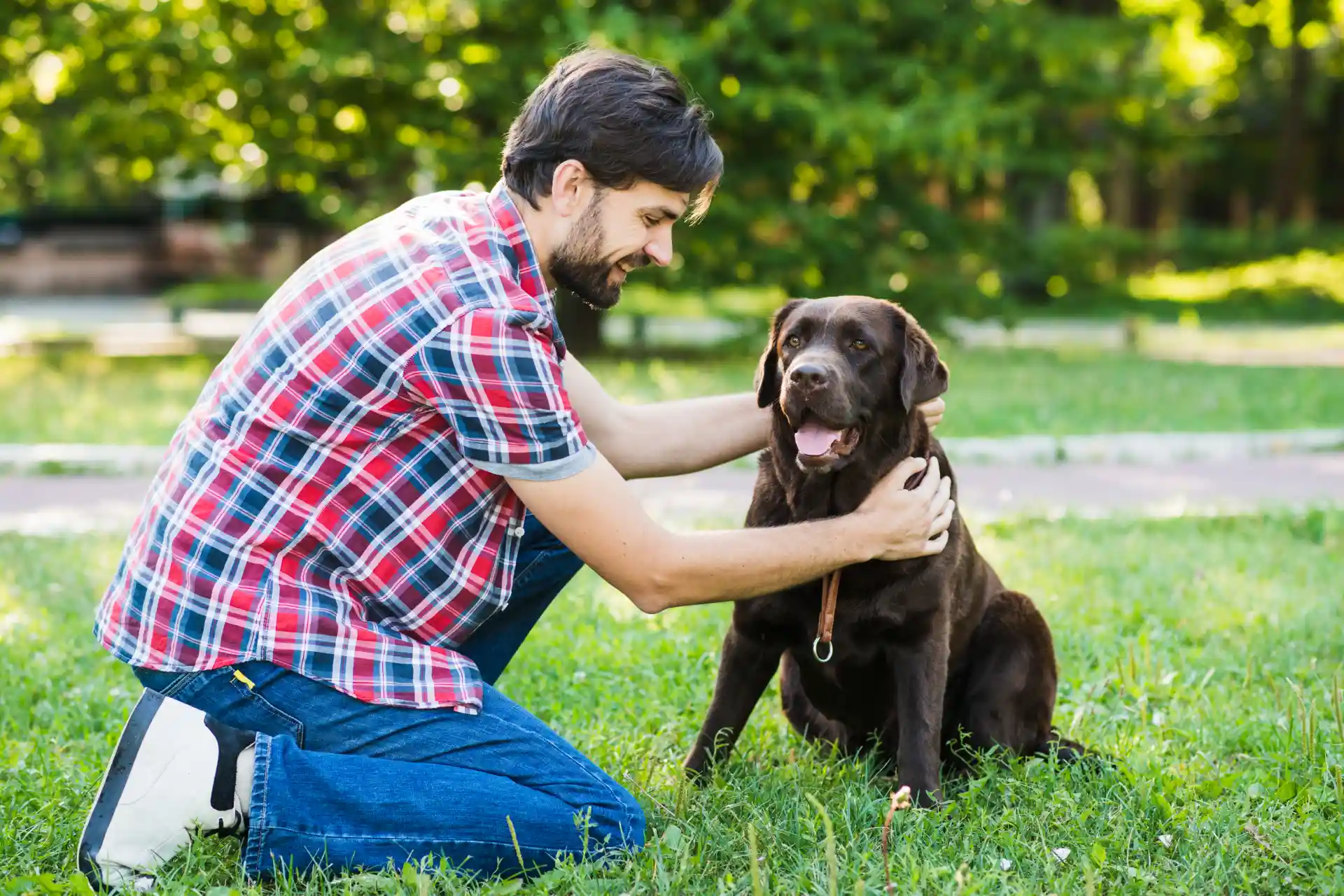 Dogs take steps backward when they see you approaching with open arms