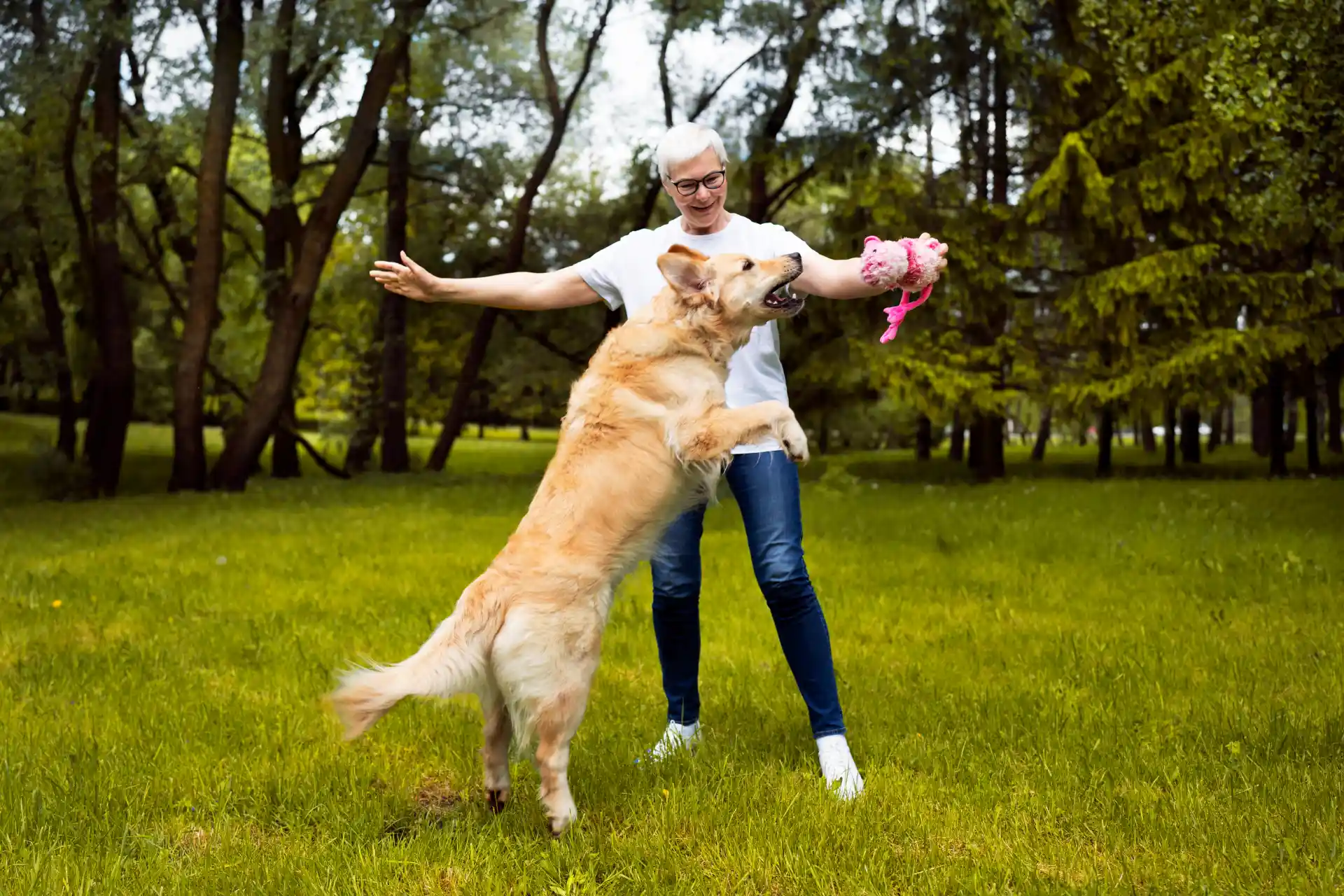 Pet gets regular physical activity appropriate for their age