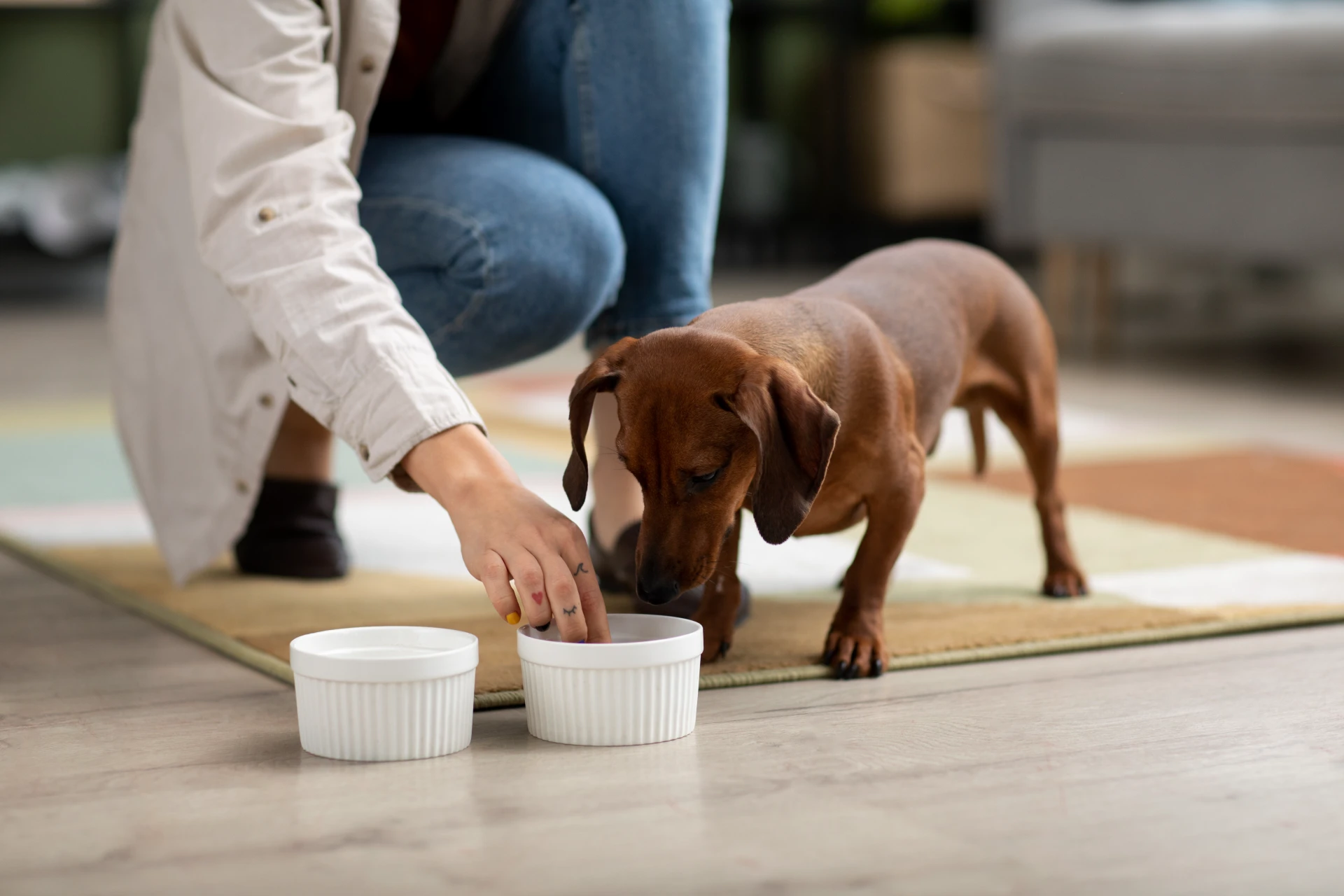  Pets need consistent food that meets their nutritional requirements, fresh water available all day