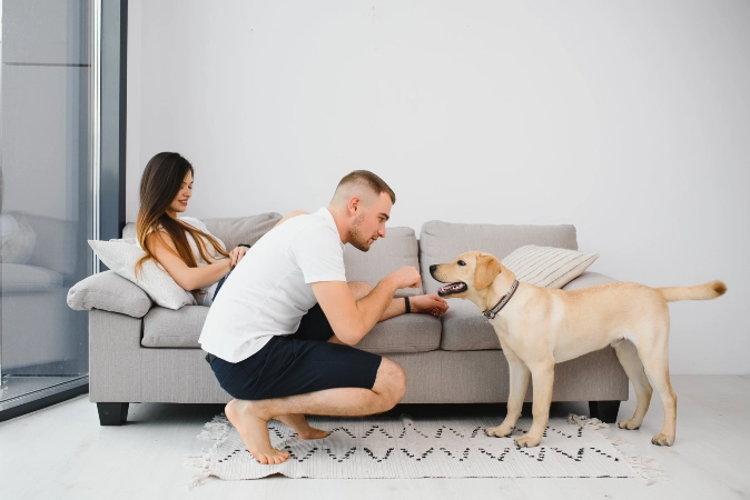 My Partner Doesn't Want a Pet and It's Ruining Our Relationship 10 Be Honest and Empathetic