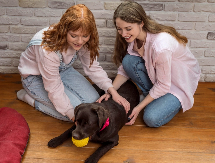 Beyond Looking: Other Ways Dogs Help Your Mental Health