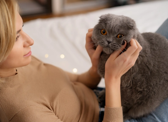 Cat Eye Contact Is Their Language