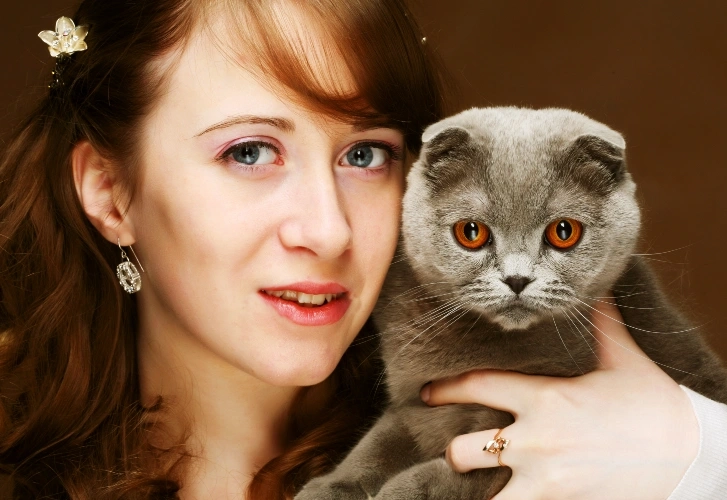 Cats Photobombing Perfectly