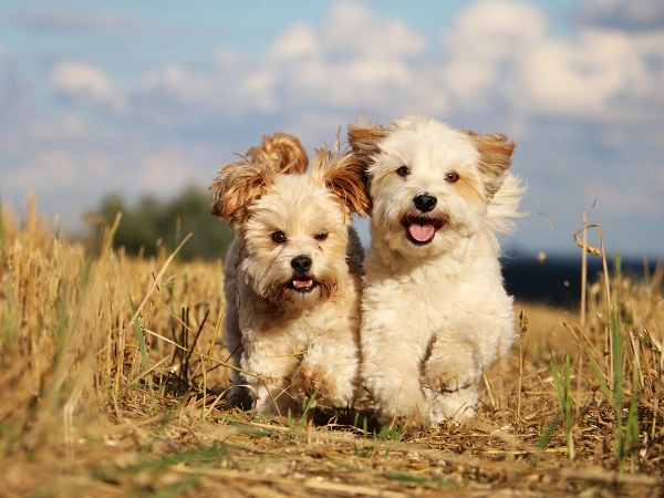 DNA Proved They Were Identical