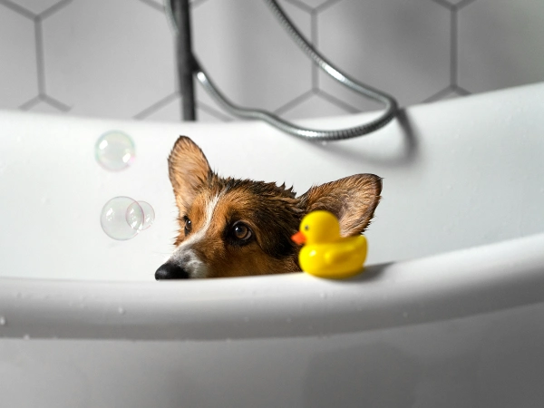 Don't Bathe Them Too Soon