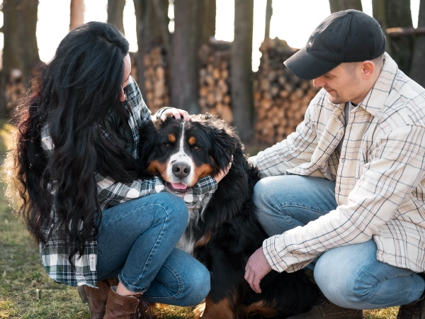 Emotional Bonding in Action