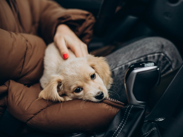 Everyday Things Become Terrifying