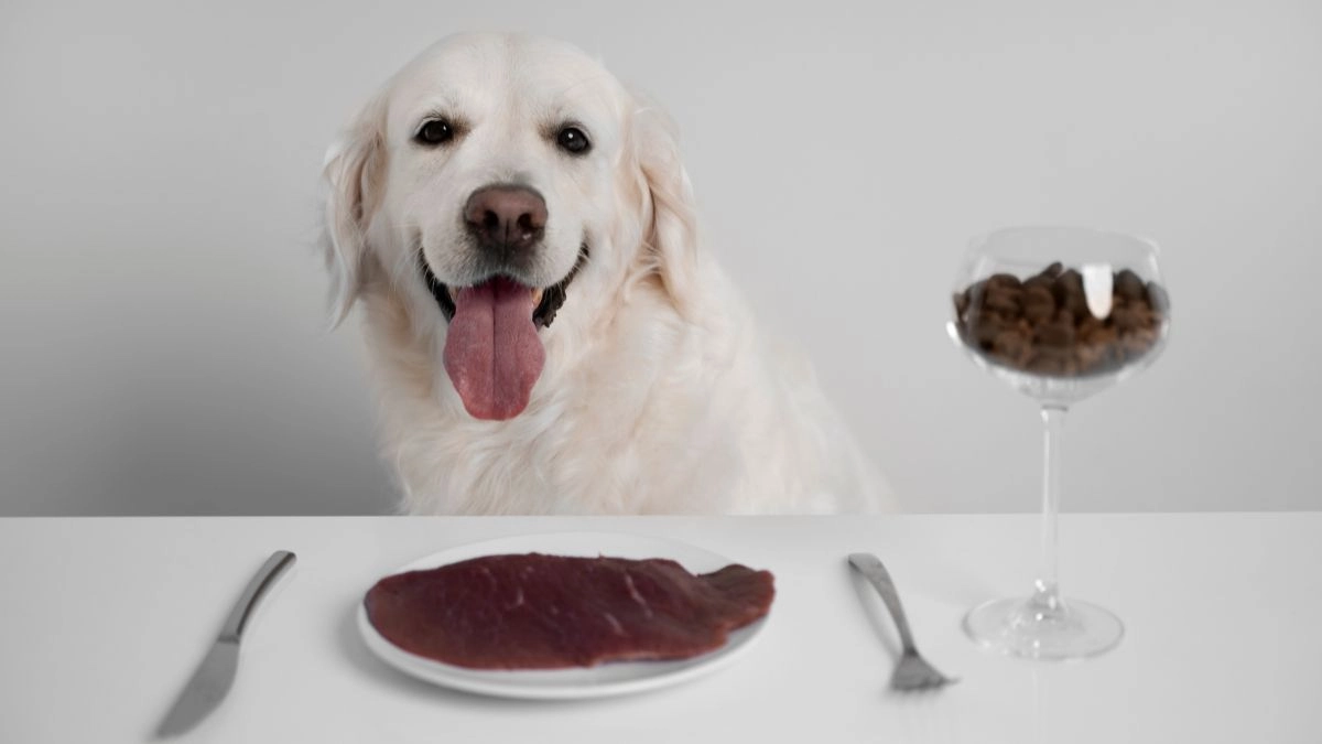 First, this ingredient slowly attacks your dog's liver