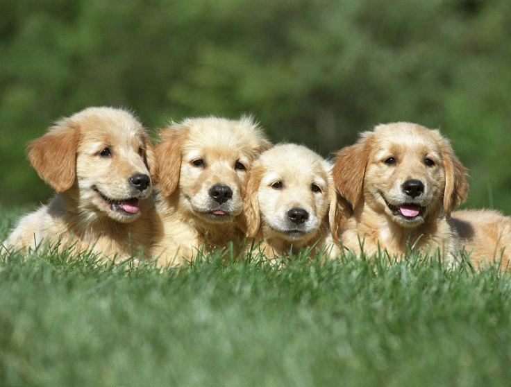 Follow the Right Accounts