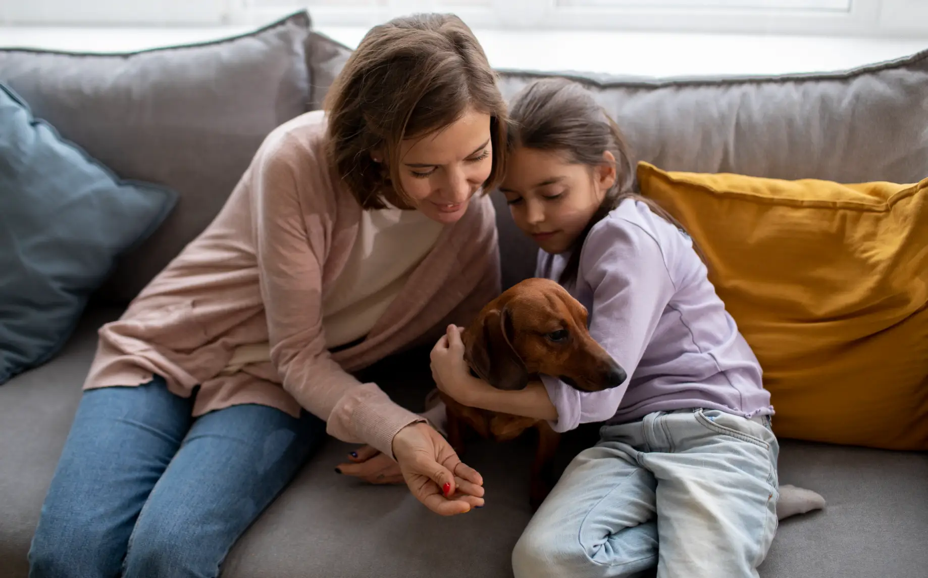 Helping Your Dog Before Problems Start Helping Your Dog Before Problems Start