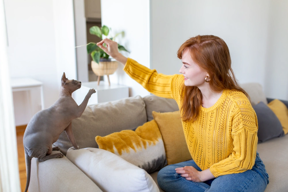 How Your Cat Mirrors Your Mood and Habits?