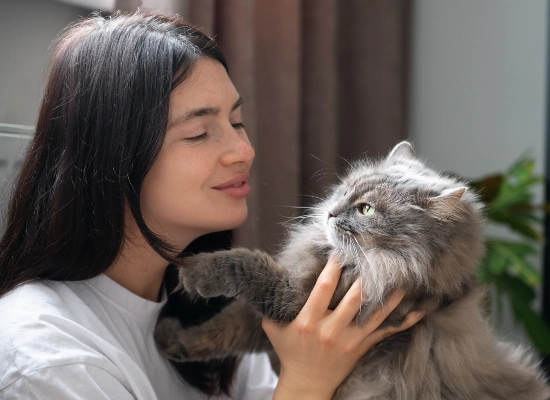How do Cats Use Eye Contact to Talk to You?