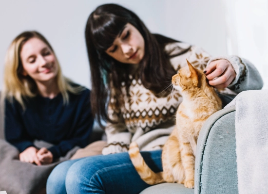 How to Respond to Each Type of Cat Stare?