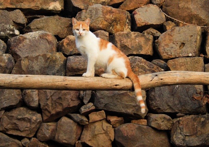 Look Up: Create Vertical Space Look Up: Create Vertical Space