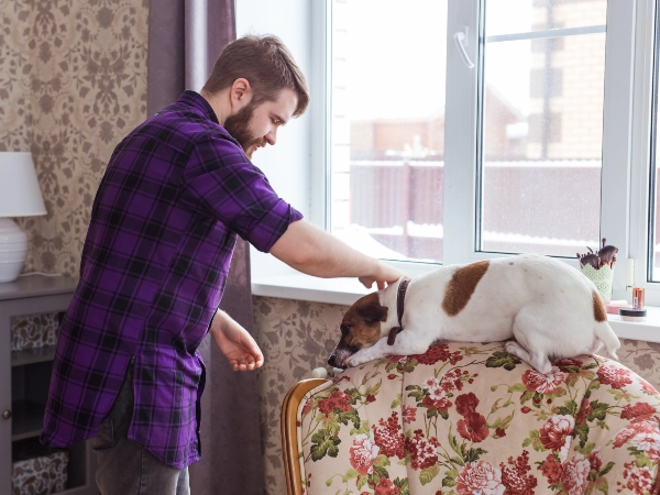 My Partner Doesn't Want a Pet and It's Ruining Our Relationship 17 Make Your Decision