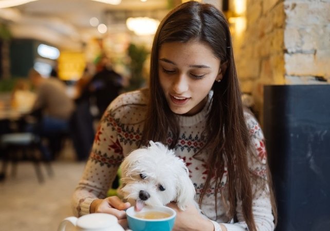 Modern Names, Same Problems