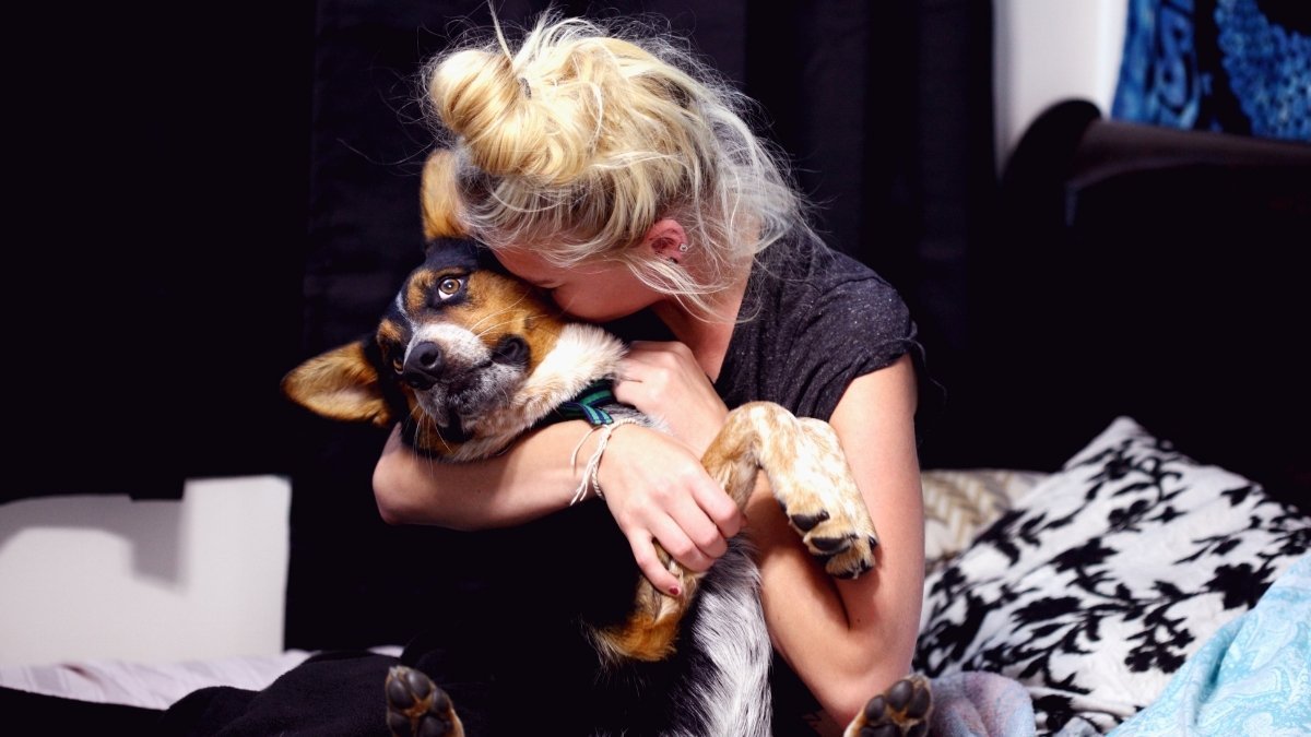 My Landlord Hates My Pet and Im Scared of Getting Evicted