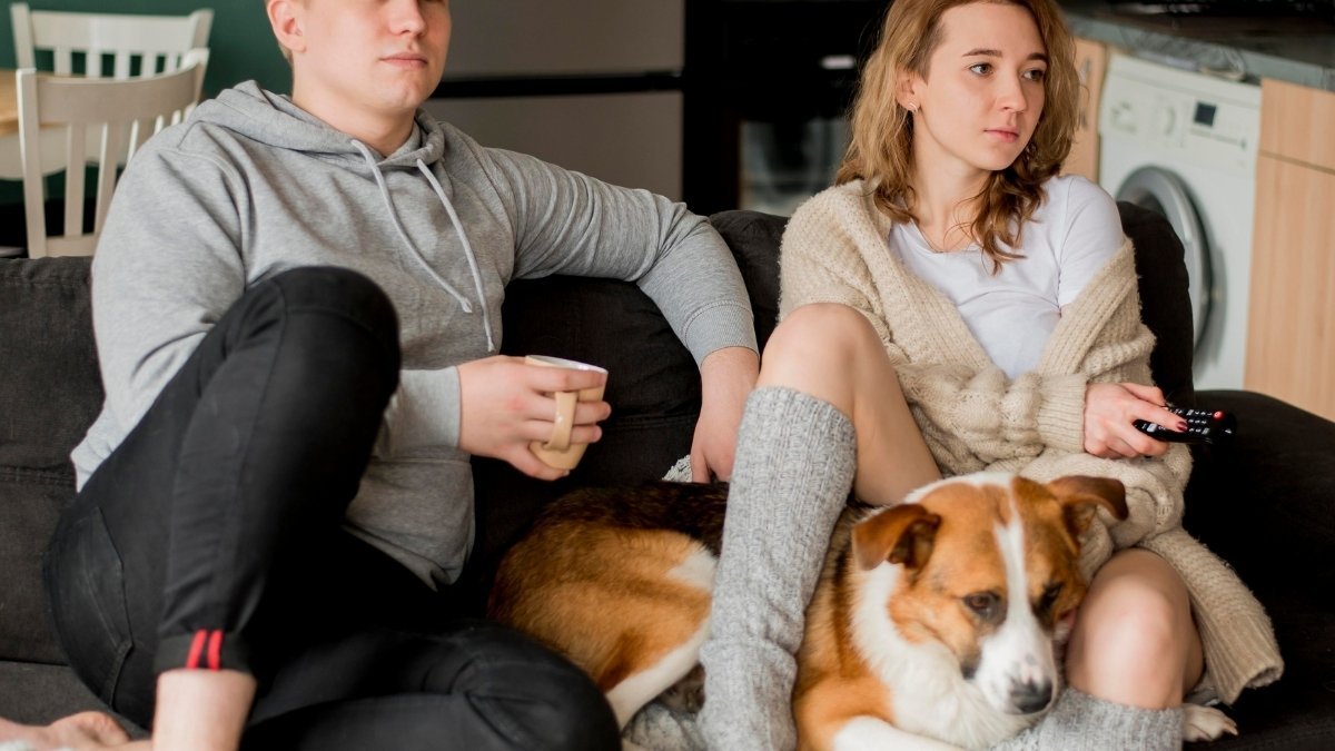 My Partner Doesn't Want a Pet and It's Ruining Our Relationship 1 My Partner Doesnt Want a Pet and Its Ruining Our Relationship 1