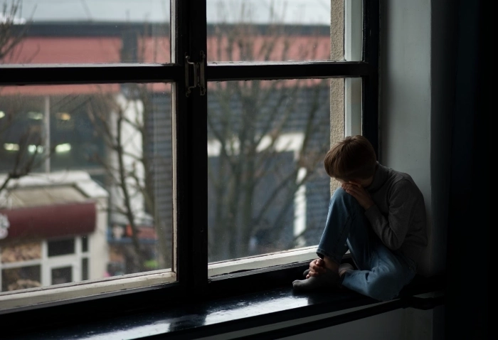 Pet Loss Follows Human Grief Patterns