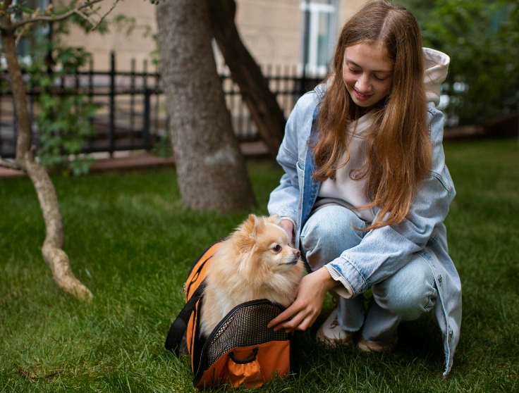Rescue Dog's First Day Home