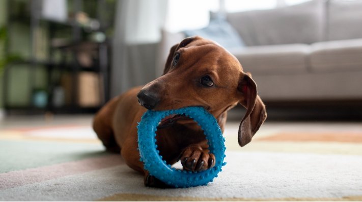 Rotate Toys Rotate Toys