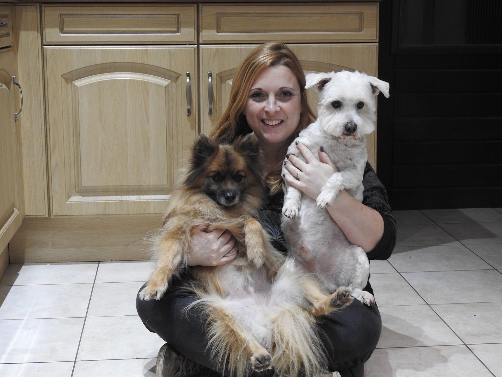 Best Low-Energy Dog Breeds Best Low-Energy Dog Breeds